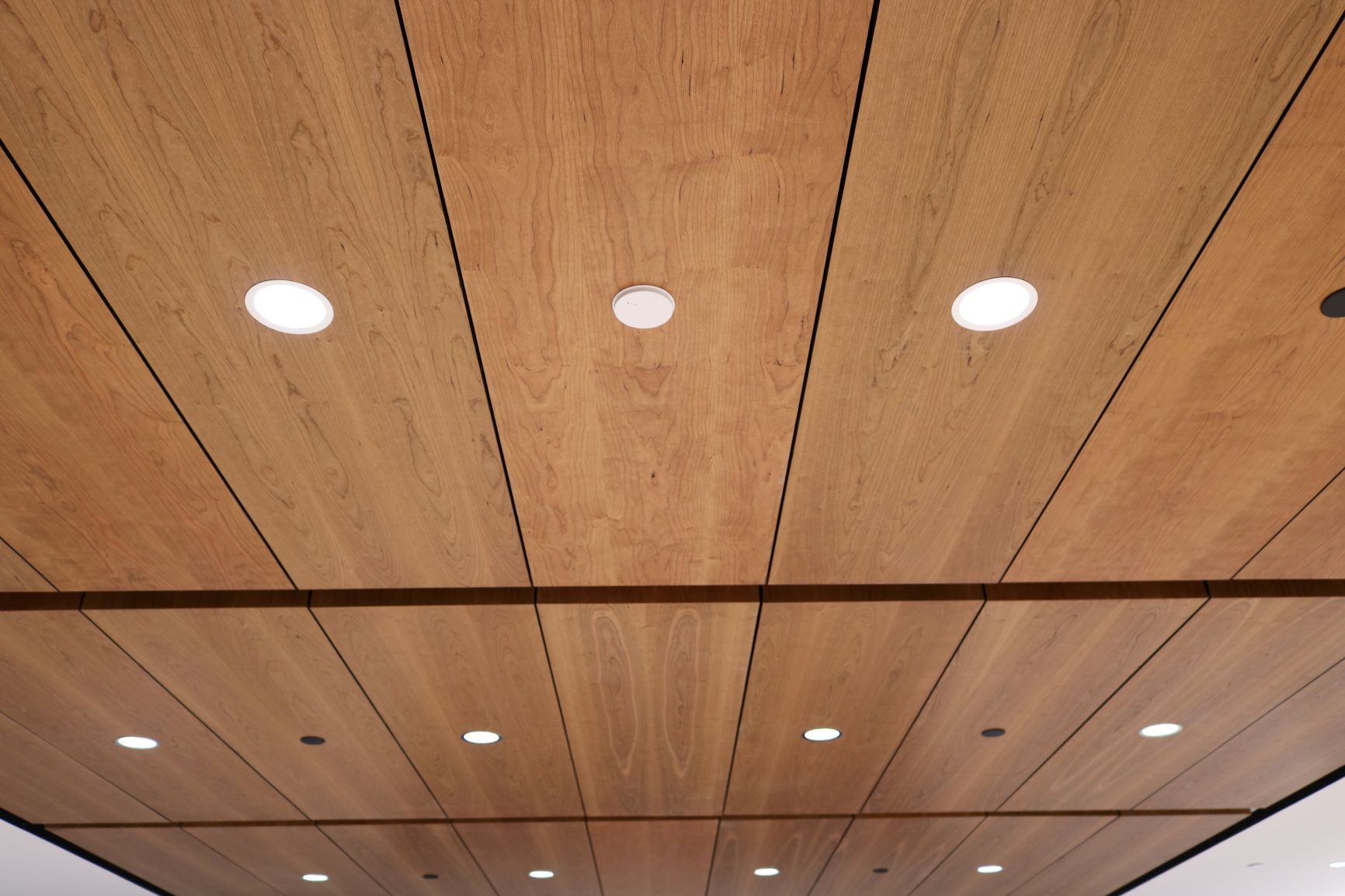 Acoustic perforated wood panels line the ceiling