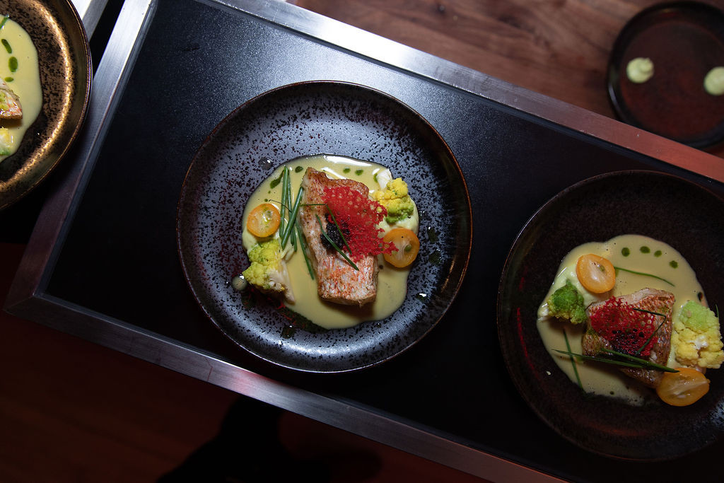 Photo by Kevin Dale Salmon main course