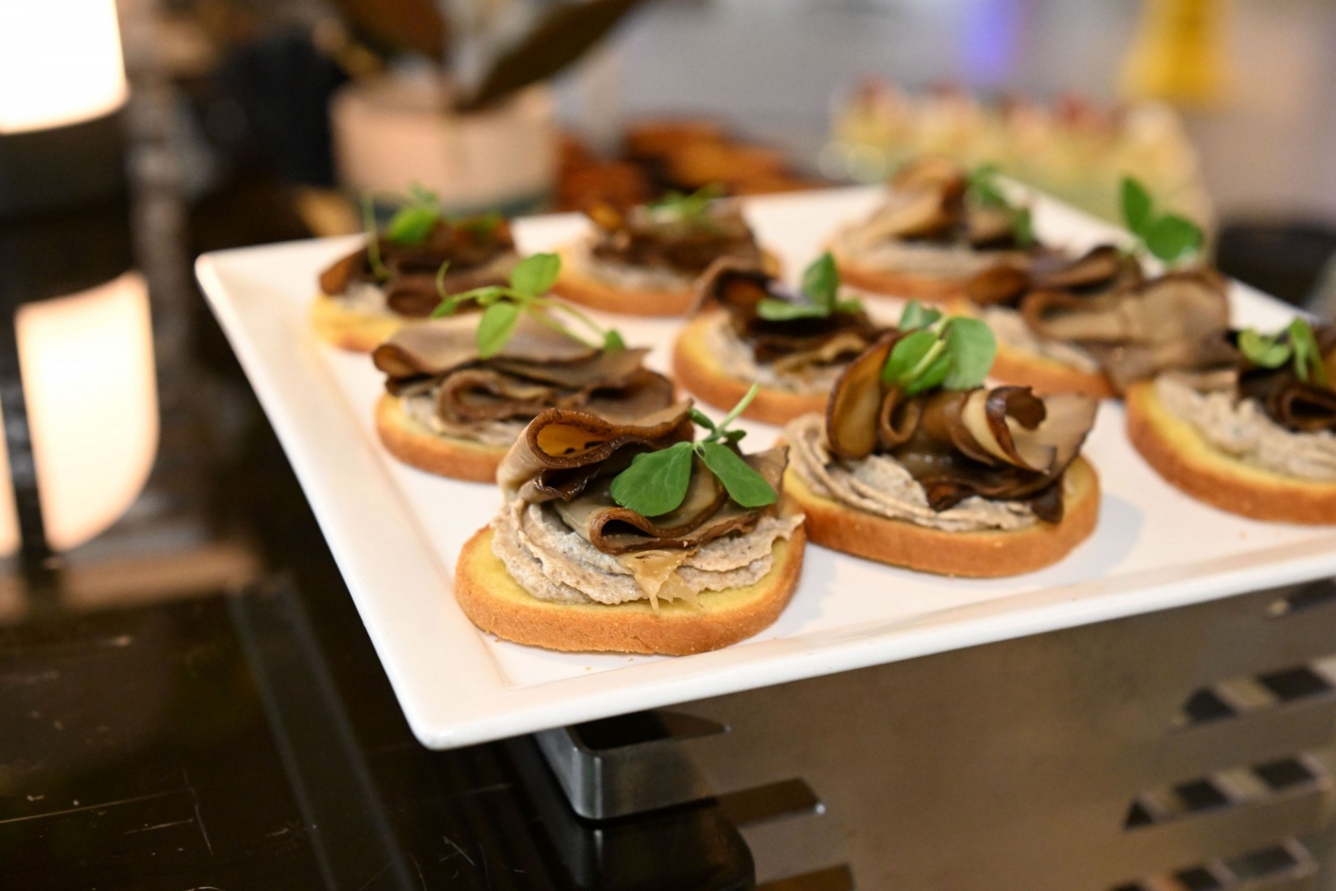 Mushroom ‘Scallop’ Rosette: porcini cream, melba toast