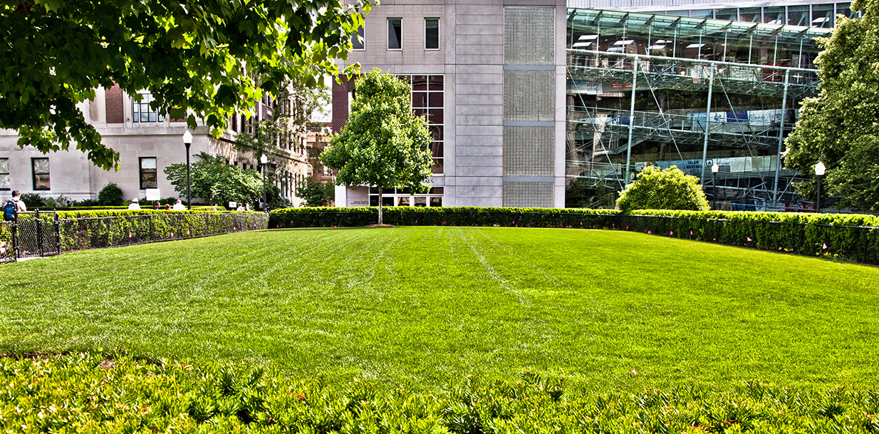 Furnald Lawn overlooks Lerner Hall