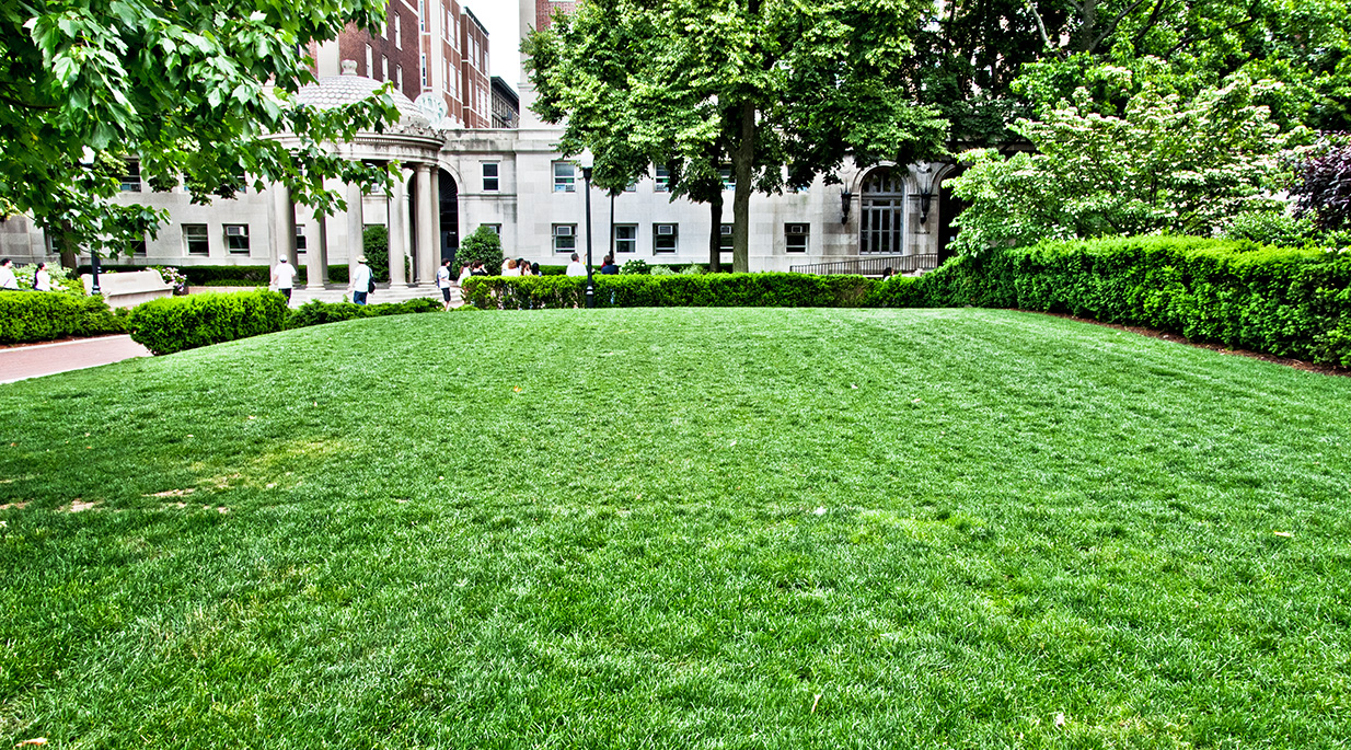 Hamilton Lawn is bordered by trees and shrubbery