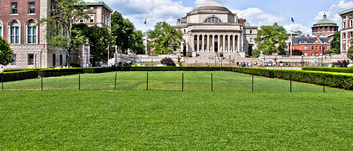 A rectangular lawn enclosed by a short hedge.