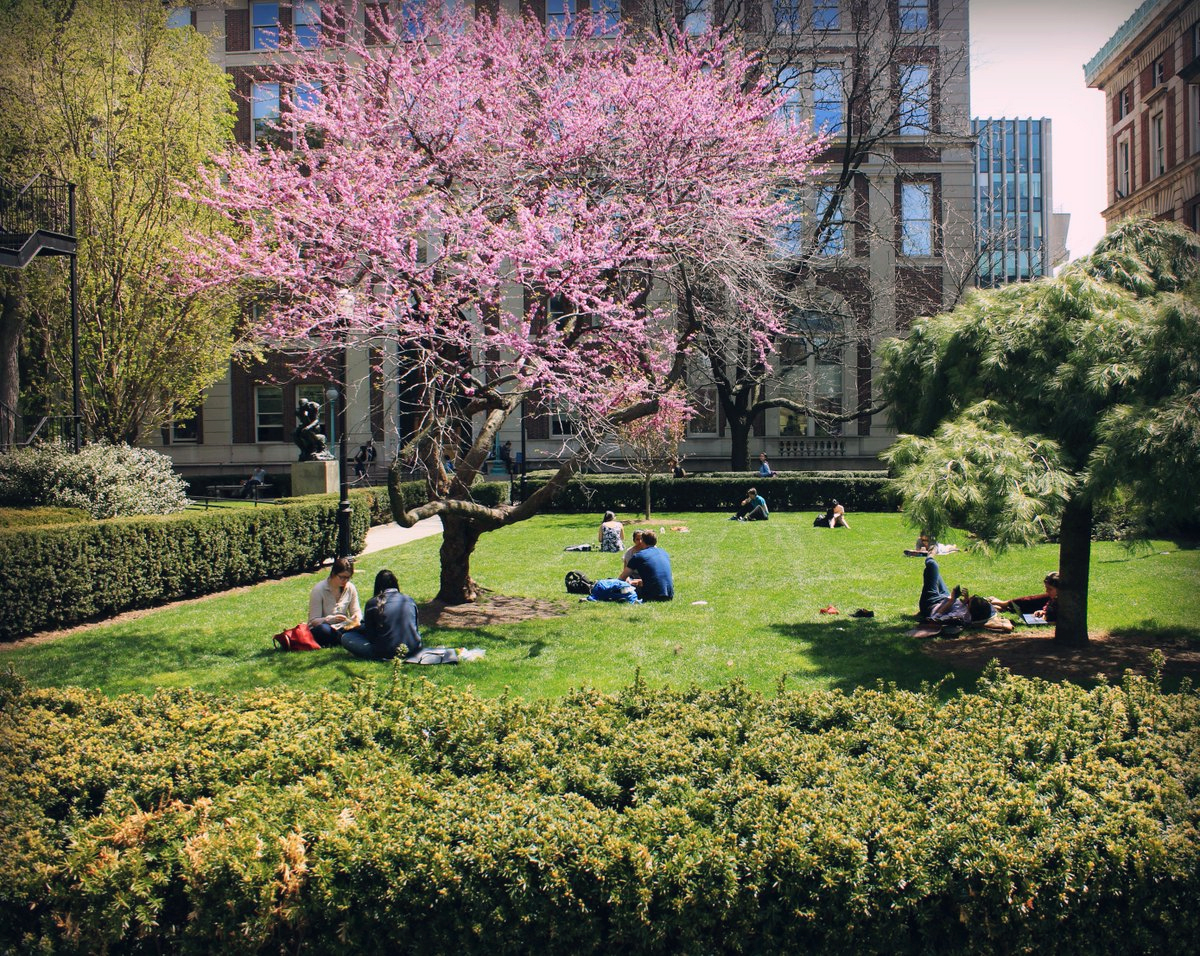Philosophy Lawn