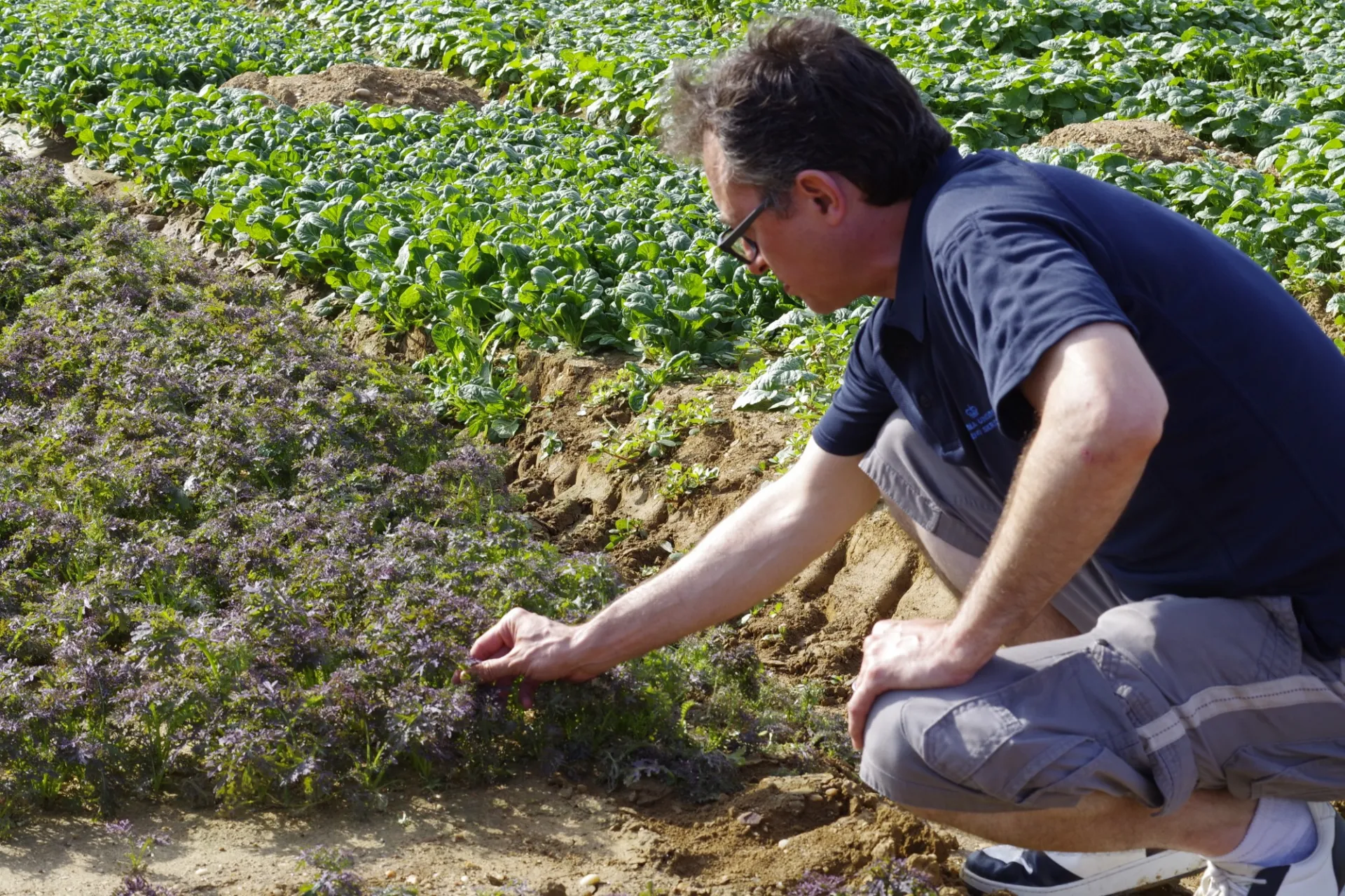 Jerome at Satur Farms
