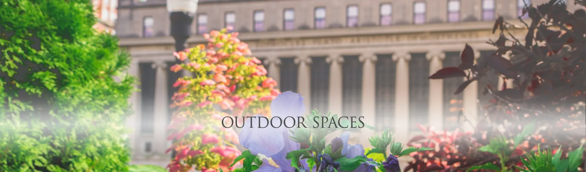 Outdoor Spaces