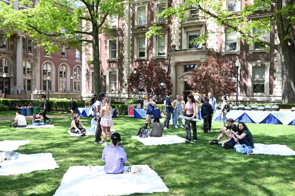 People on picnic blankets
